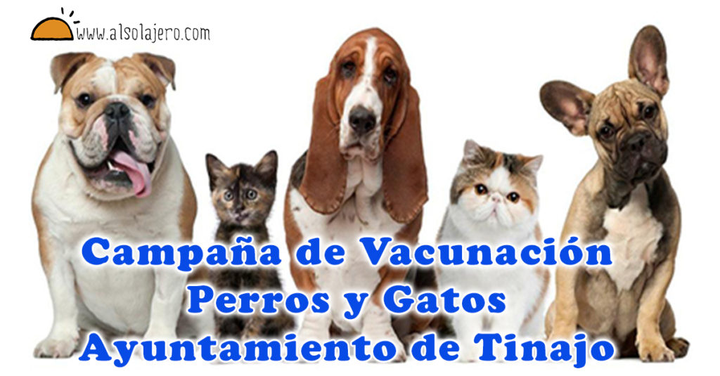 Perro y gatos estirilizacion y vacunas Tinajo cartel